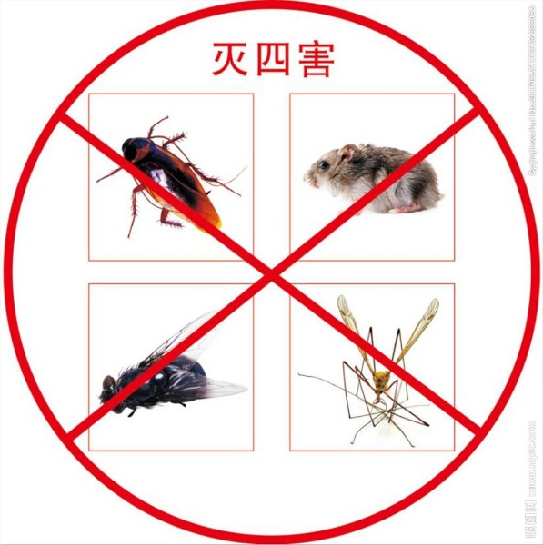 中山杀虫灭鼠-如何正确使用杀虫剂和杀鼠剂？