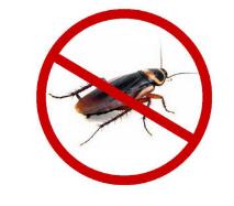中山杀虫灭鼠公司讲解一下蟑螂的危害