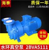  Comprehensive guide for installation and maintenance of water ring vacuum pump: suggestions from dedicated manufacturers