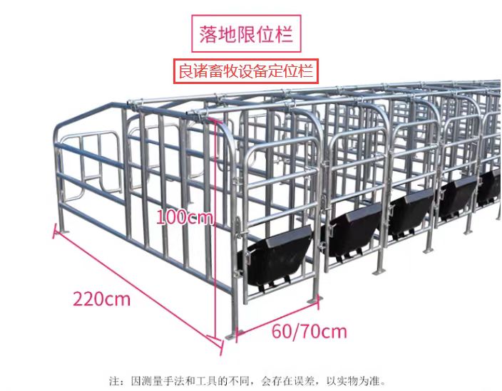 普通母猪限位栏