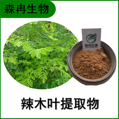 森冉生物 辣木叶提取物 辣木叶粉 鼓槌树叶提取物