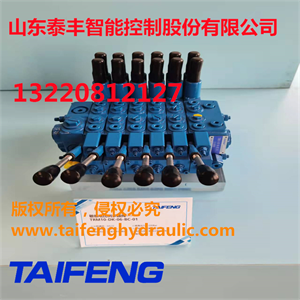 TRM20系列多路阀江苏挖掘机配件供应商泰丰液压